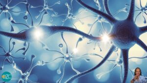 PG Stress Flow: valutazione del sistema nervoso autonomo e dello stress cronico