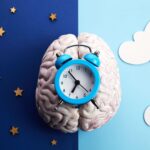 Ritmi circadiani asse HPA e sistema nervoso: l’orologio interno della salute