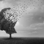 Litio e Alzheimer: la nuova ricerca svela un legame inatteso e promettente