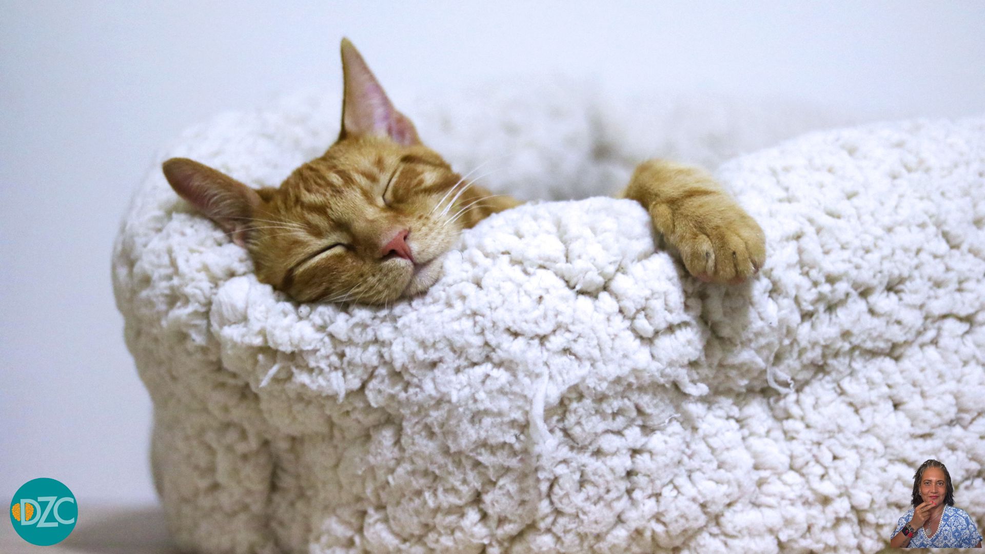 Scopri di più sull'articolo Sonno e salute: le fasi del sonno e il ruolo del sistema glinfatico